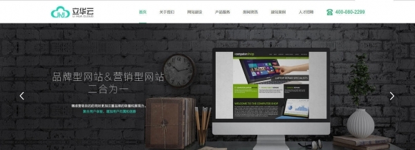 定制型網站與模板型網站深度解析 如何選擇最適合您的建站方案？